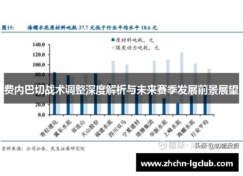 费内巴切战术调整深度解析与未来赛季发展前景展望