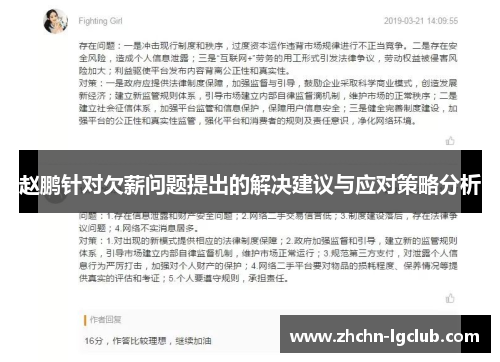 赵鹏针对欠薪问题提出的解决建议与应对策略分析